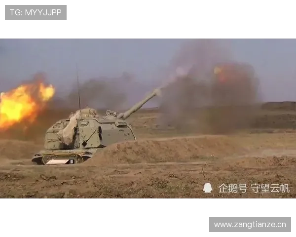 帕利尼亚作为防线前屏障的战术价值解析