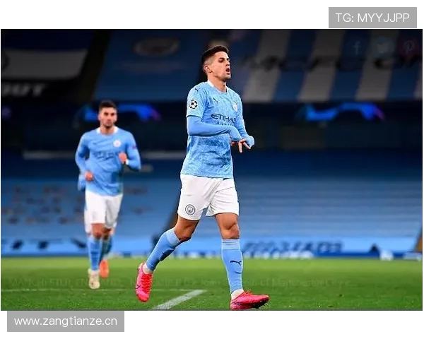 阿什拉夫vs坎塞洛：推进方式与技术路线差异解析